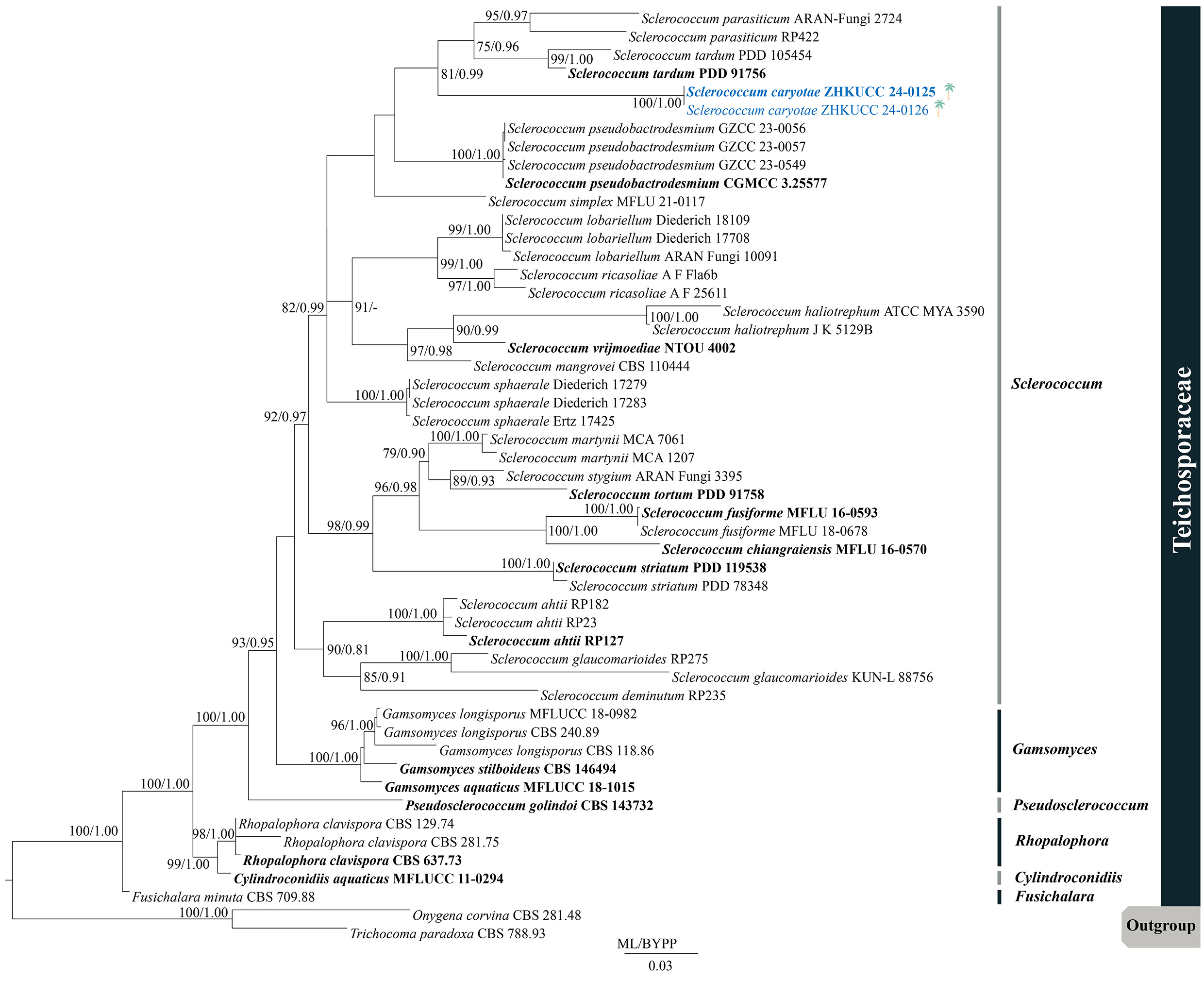 Figure 61